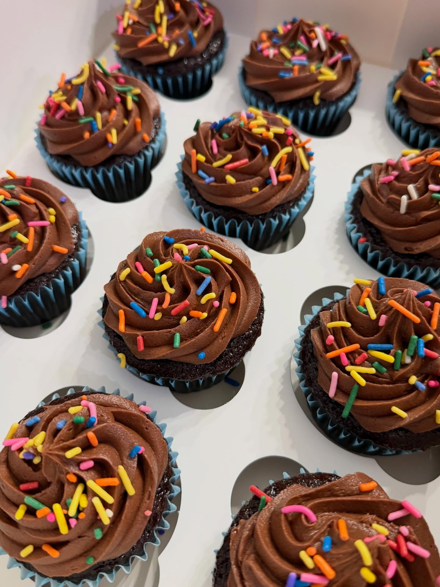 Chocolate cupcakes with rich chocolate buttercream frosting and rainbow sprinkles